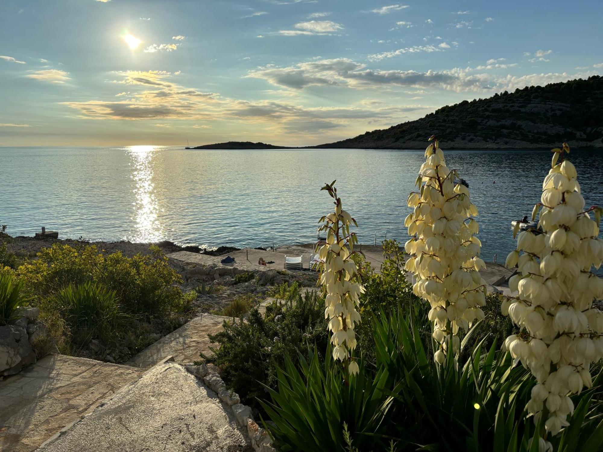 Direkt Am Meer-Apartments Puntaplanka Rogoznica  Eksteriør billede